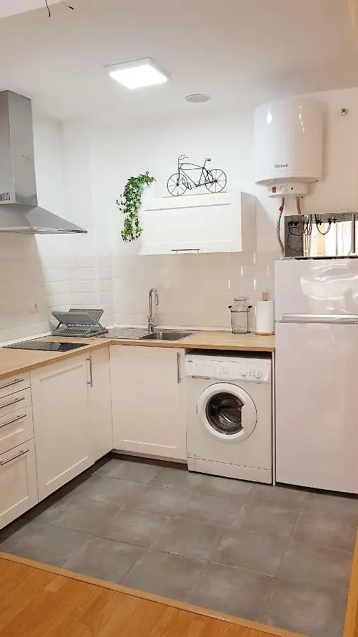 Centro Historico Malaga Apartment