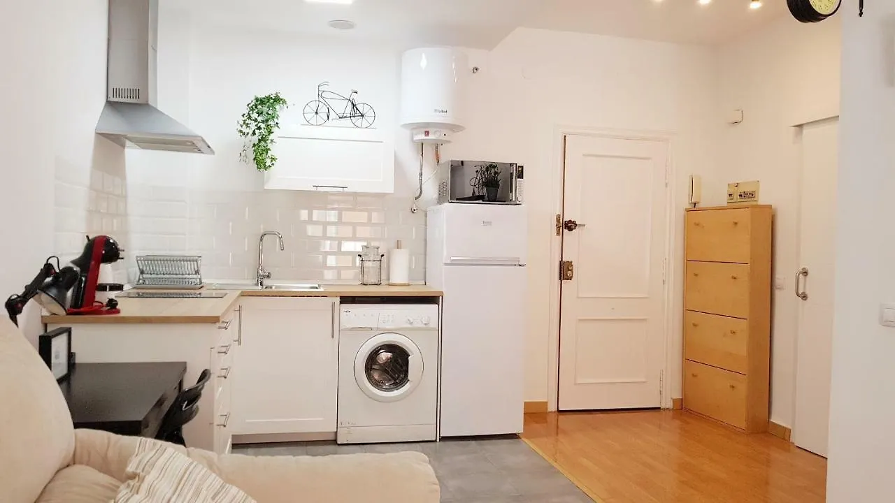 Centro Historico Malaga Apartment 0*,  Spain